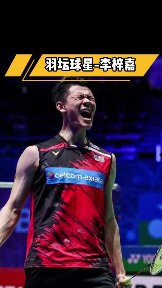 马来西亚队险胜德国队，李梓嘉关键制胜