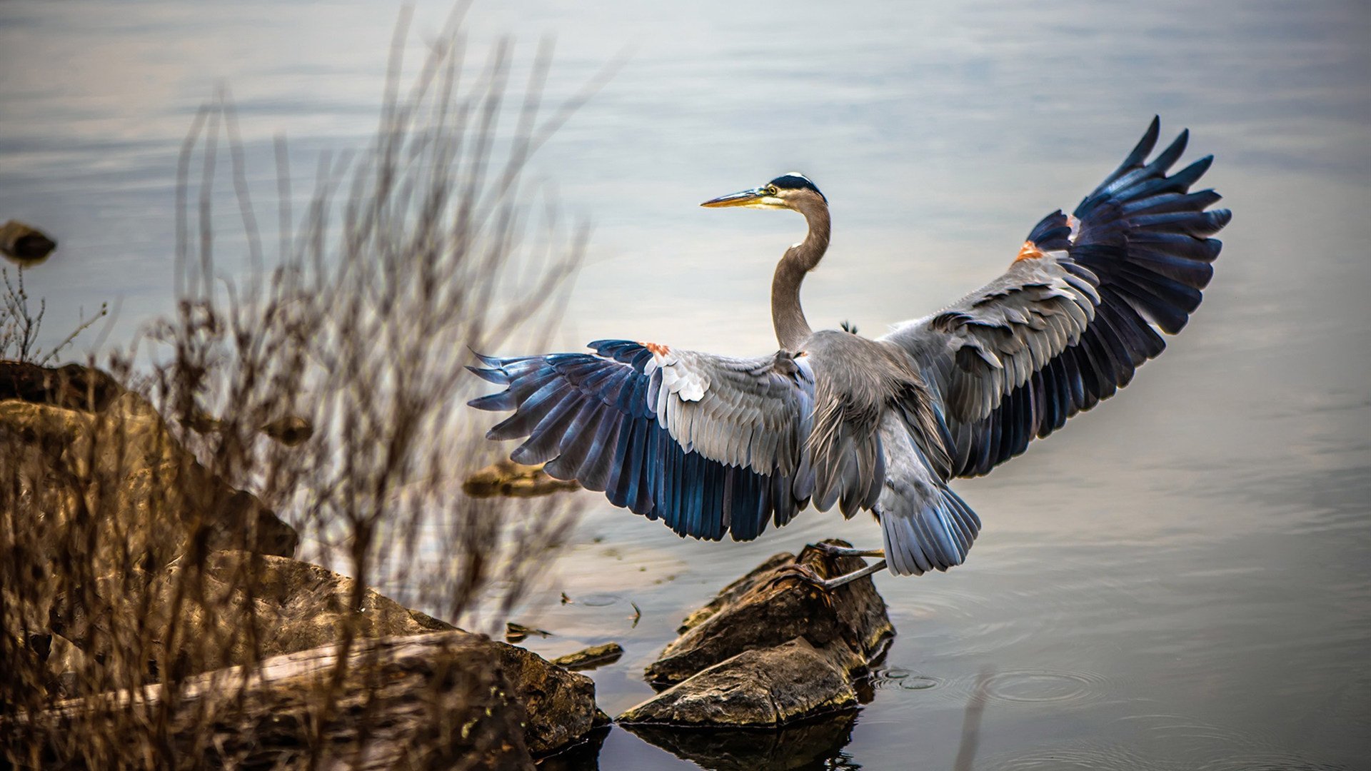 新生代铁律，从温网青草到都灵硬地，阿尔卡拉斯双重荣耀照亮时代更迭