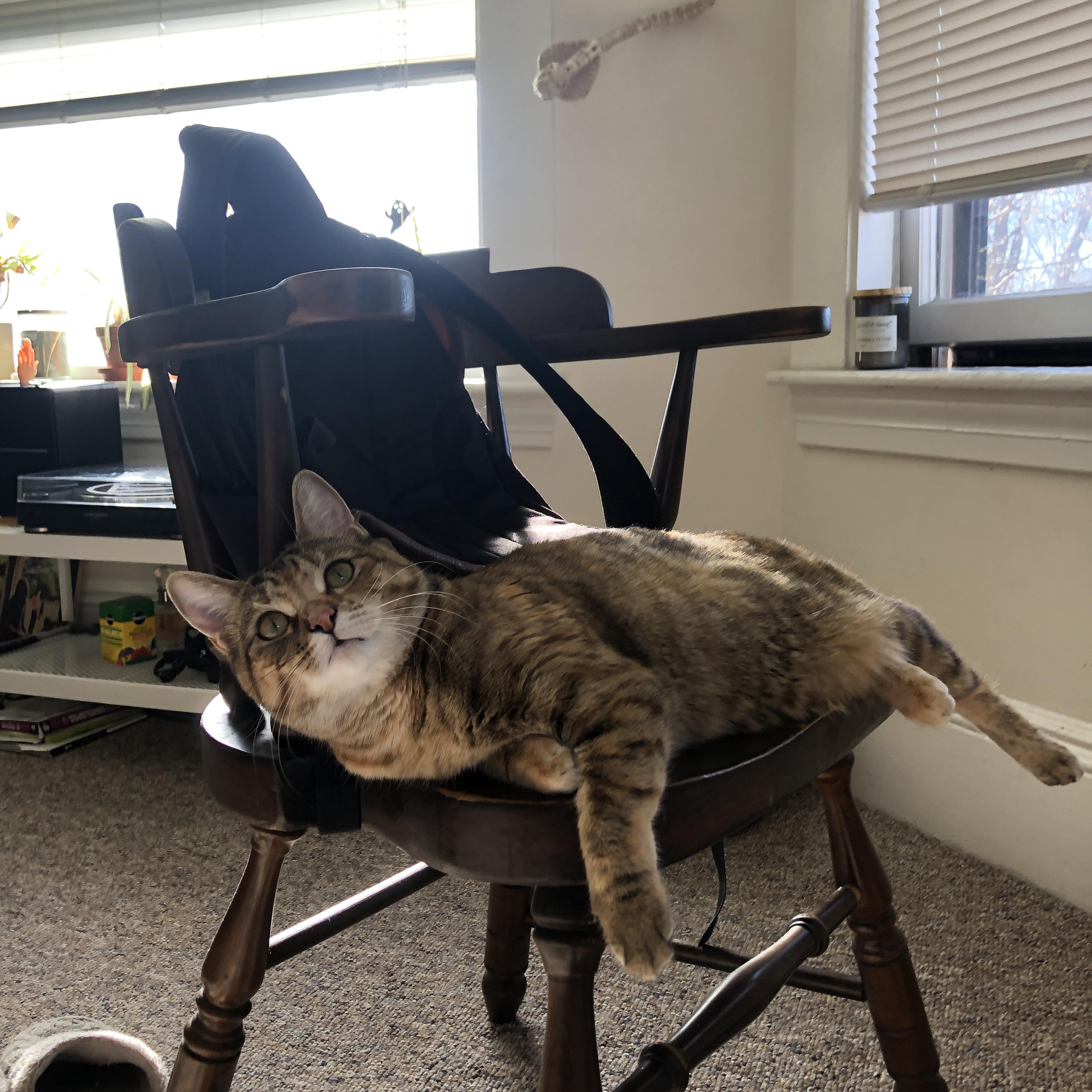 铁血群星与孤胆英雄，足球世界的双面胜利法则