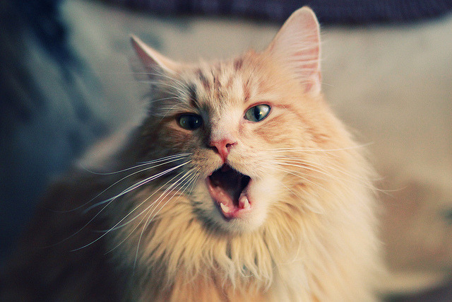 倒挂金钩与霸王拧，时光机里的两个制胜瞬间