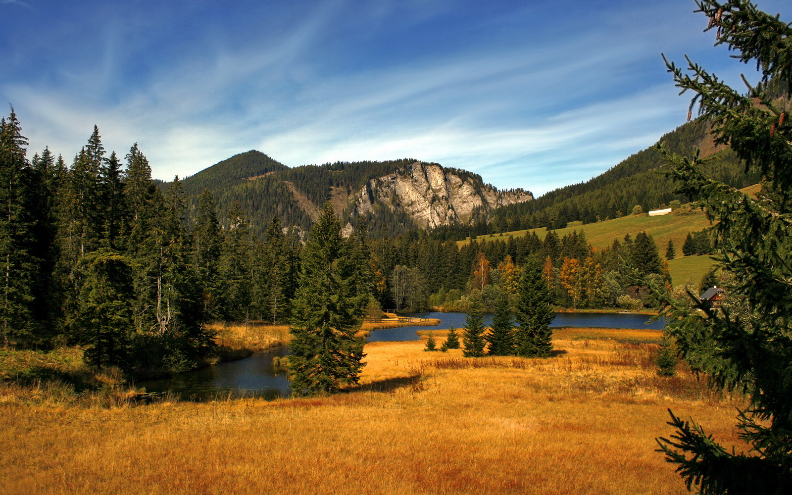 平行宇宙的MVP，当约基奇穿上火箭战袍鏖战步行者