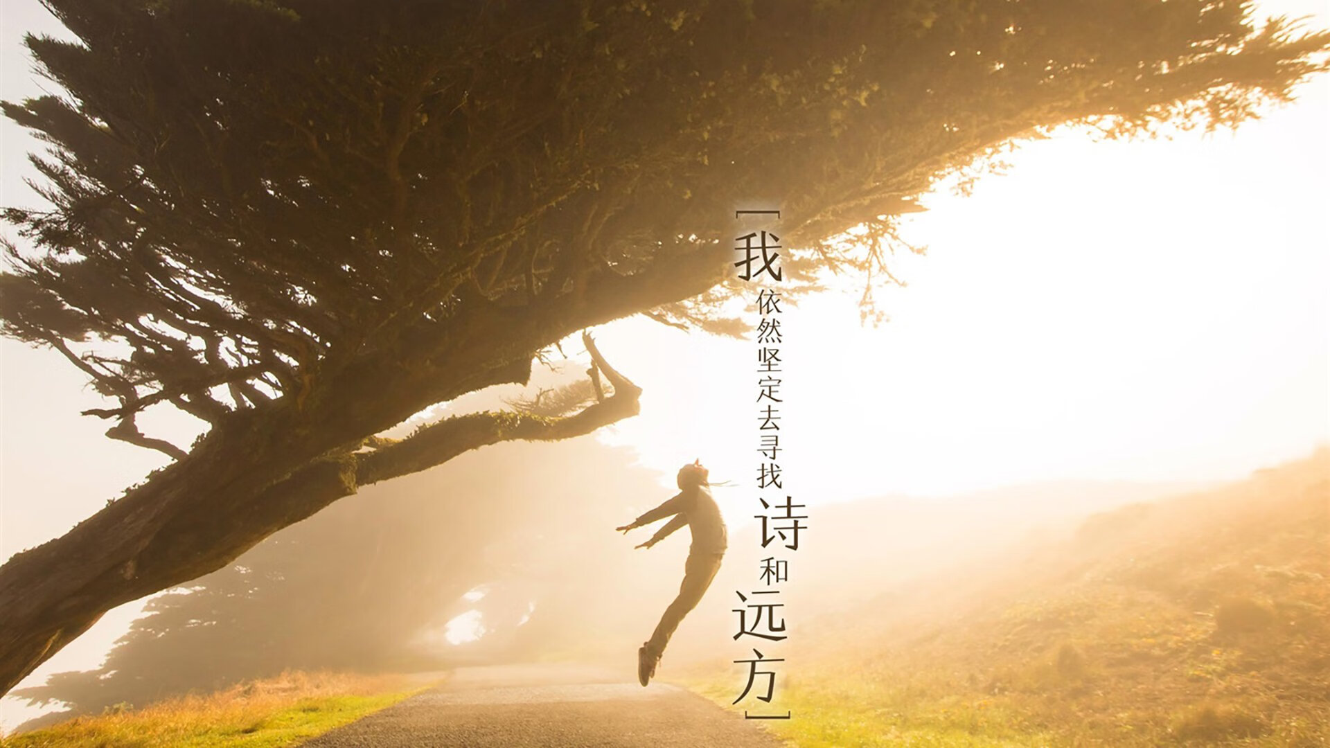 王储加冕之夜，克瓦拉茨赫利亚在季后赛抢七的巨型舞台起舞