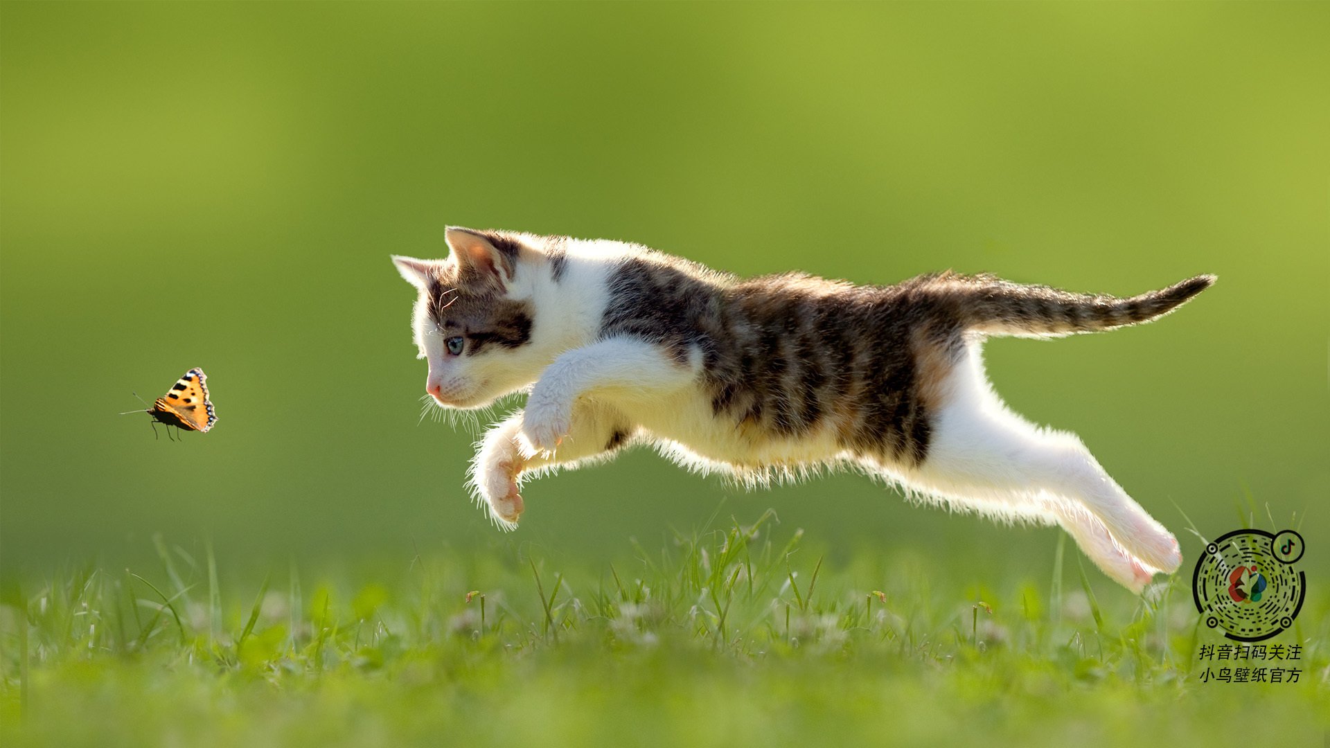 爱游戏入口-时光褶皱的传奇，深圳队闯入NBA赛场力克快船