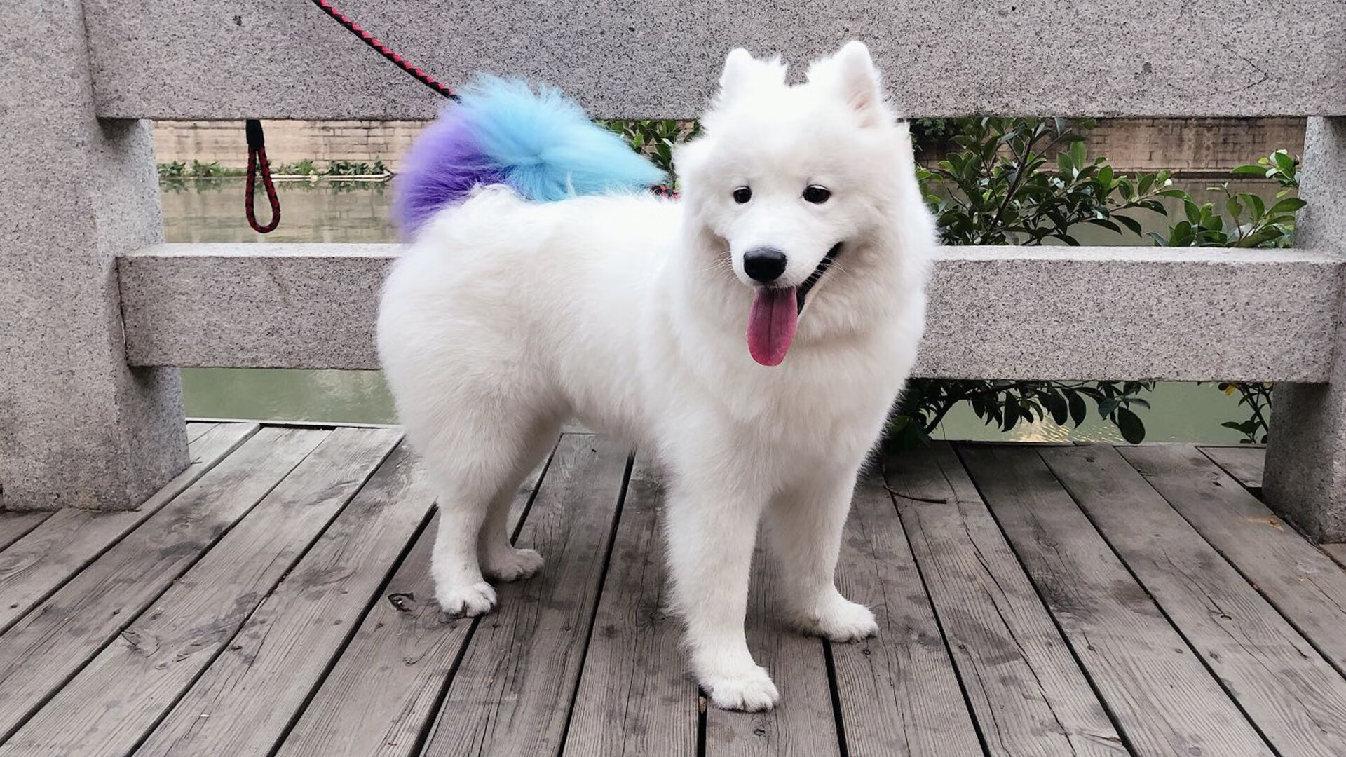 爱游戏体育-清冷月光，当欧文在高原主场写下无解题