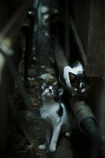 爱游戏官方入口-红白棋子，黑白天际，布鲁诺如何将欧冠半决赛谱写成西班牙式战术绝杀