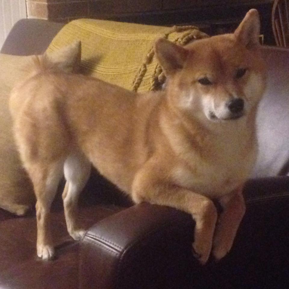 野火燎原，爱德华兹的东决封神夜