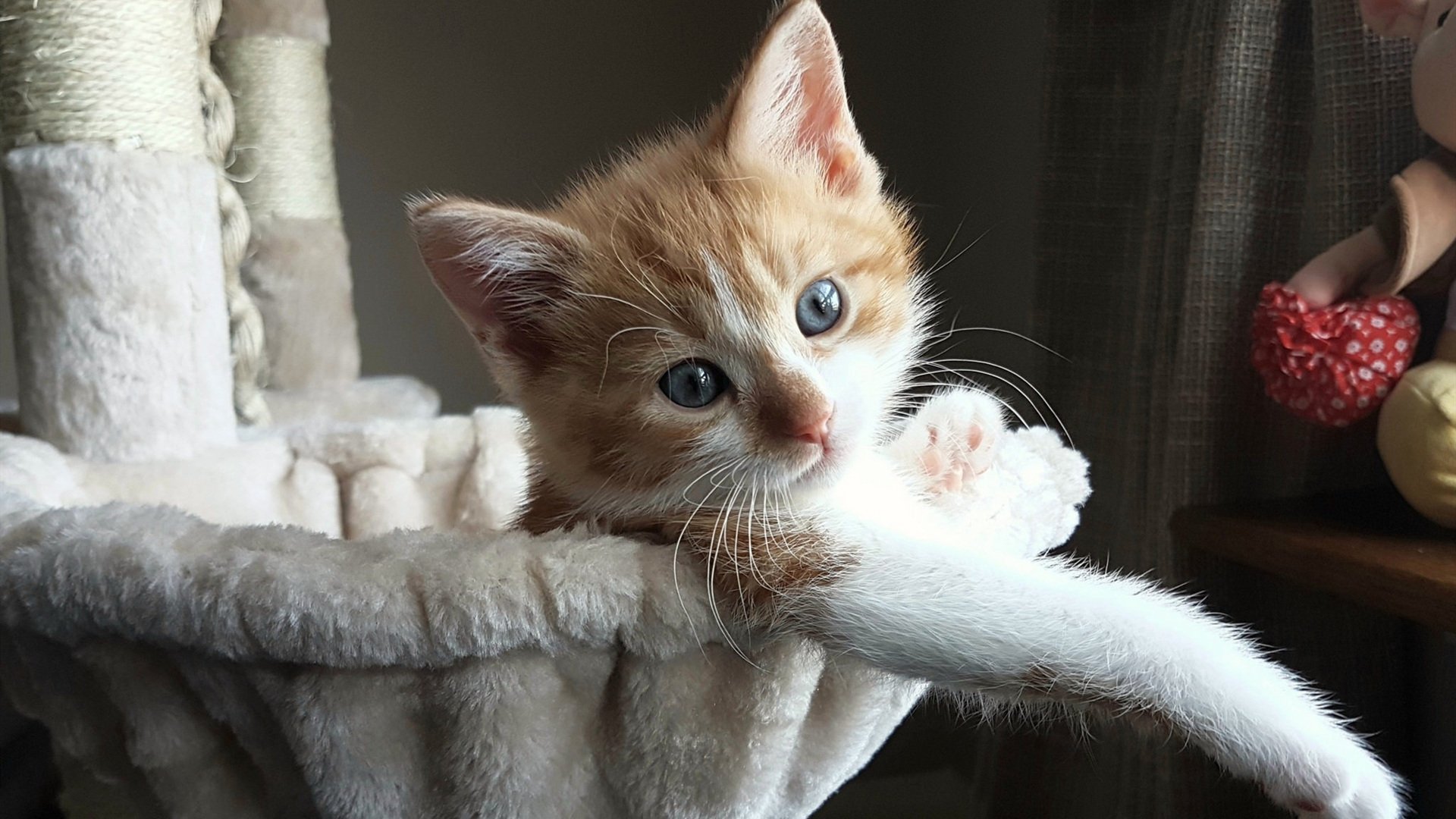 爱游戏娱乐-宿敌的黄昏，当杰伦·格林在马刺的坟茔上，奏响孤独的回响