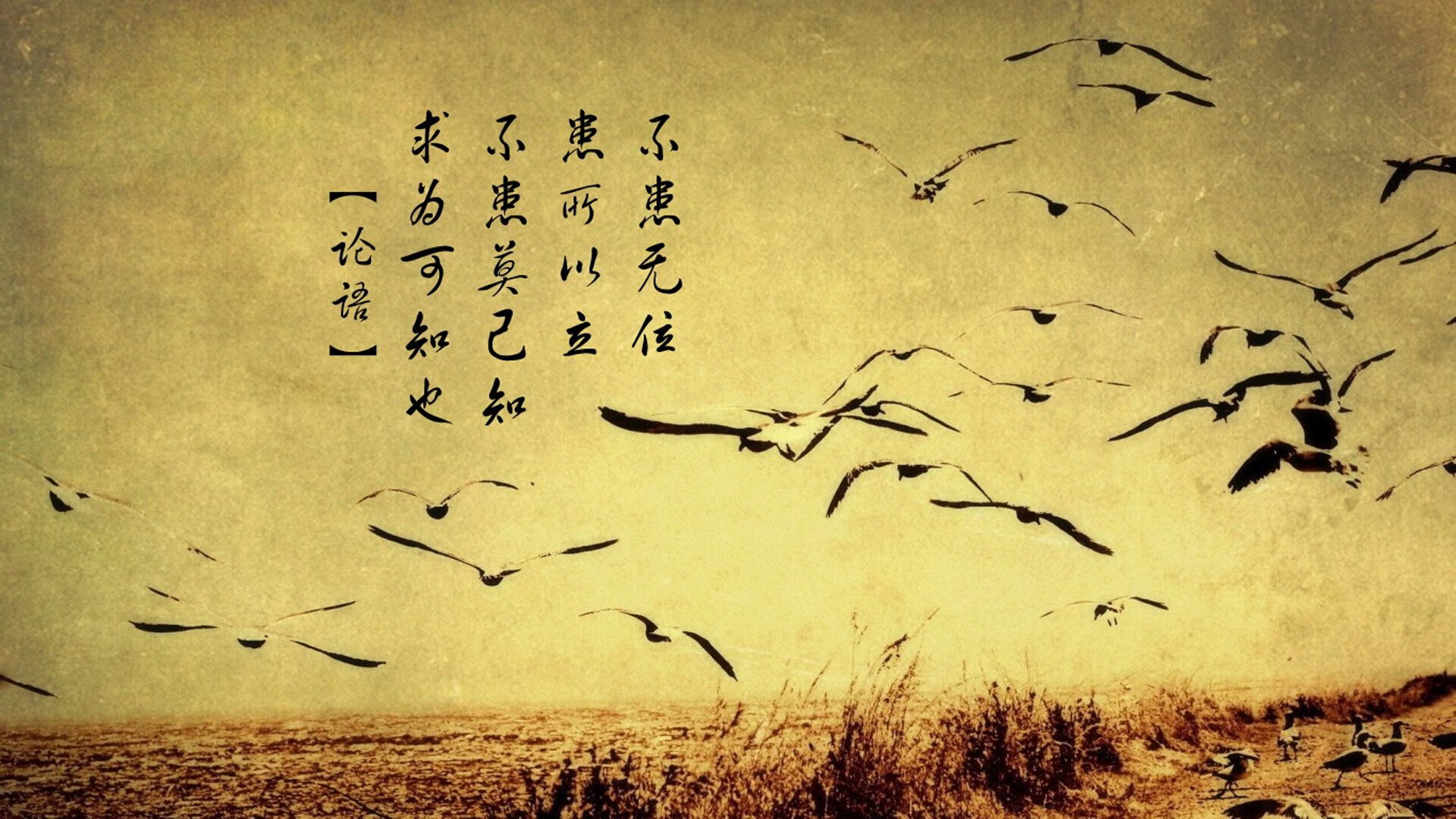 唯一性展现，塔图姆的进攻艺术与尼克斯的收割之战