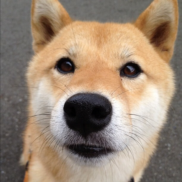 东方魔法点燃赛场,巴斯克铁蹄碾压红魔,一场颠覆传统的胜利