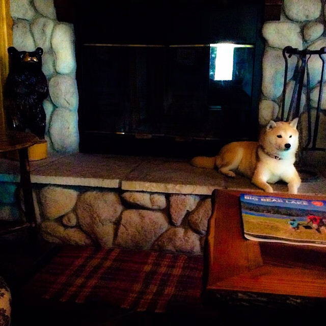 爱游戏官方-法比尼奥连击定乾坤，巴西在巅峰对决中力克丹麦，唯一性之战彰显王者风范