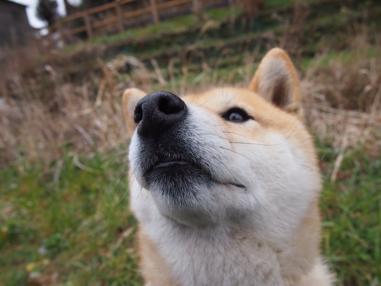 当巴尔韦德扼住英超的咽喉，一个决定两个联赛冠军的夜晚