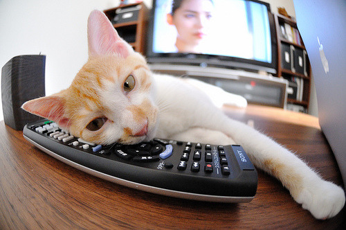 爱游戏-若日尼奥的节拍器魔法，西班牙对阵卡塔尔的战术心脏