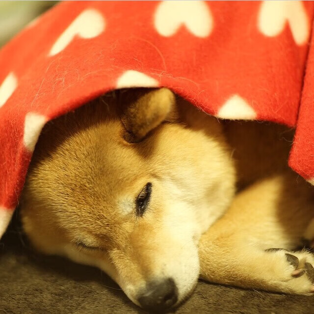 爱游戏-格列兹曼的刀锋时刻，在红魔钢墙上刻下马德里心跳