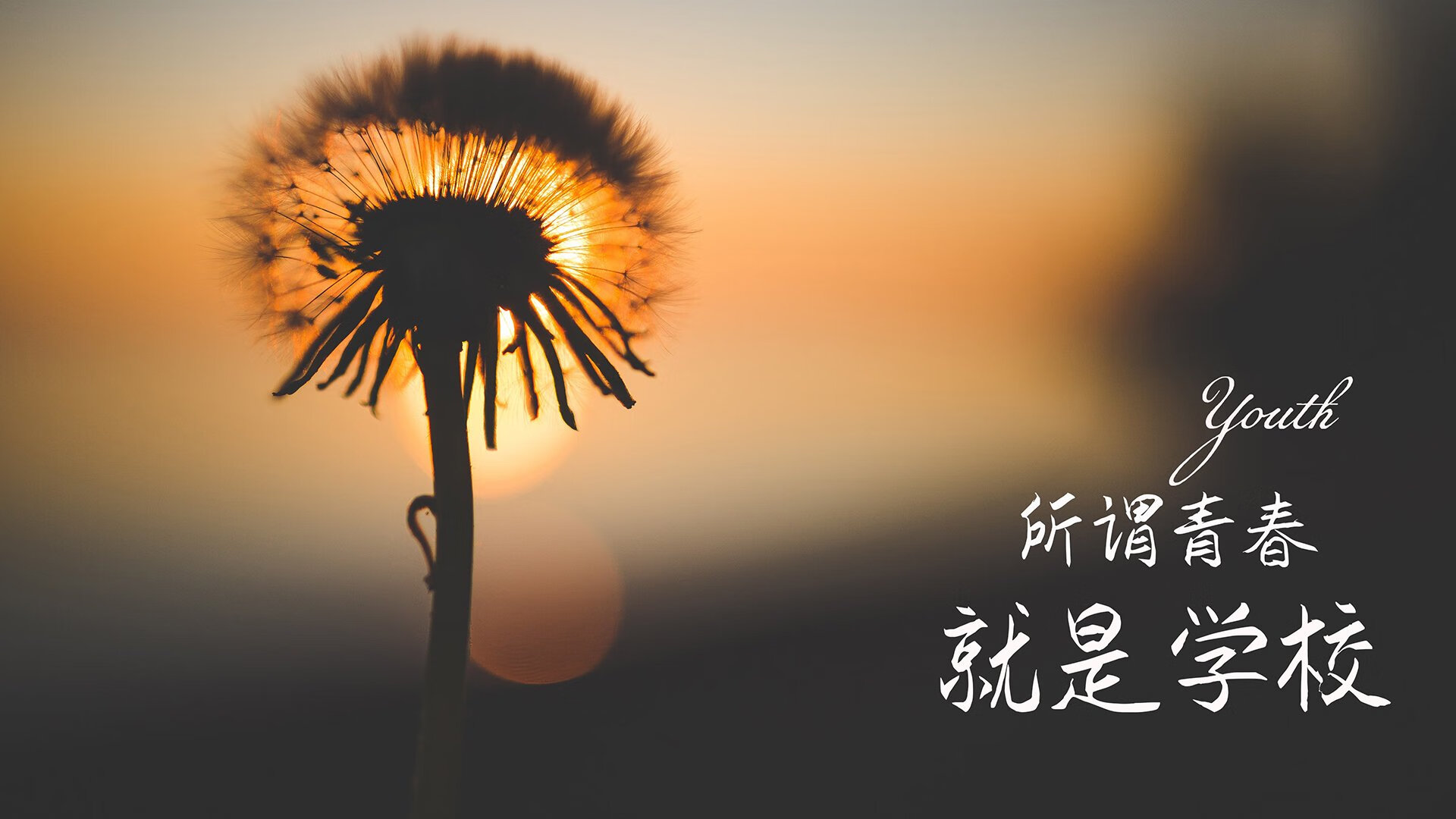 爱游戏大厅-北非雄狮怒吼多哈，坎塞洛穿云箭划破波斯铁骑，喀麦隆以一场完胜定义B组生死局