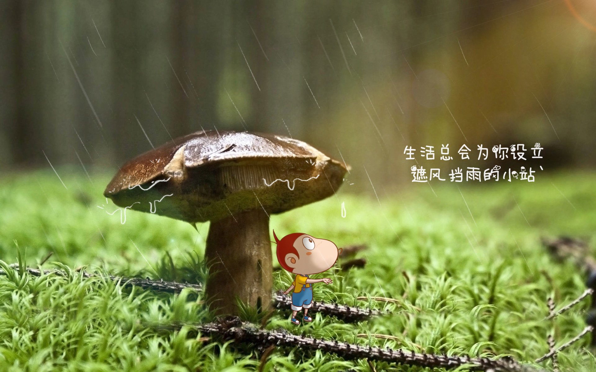 拓展（供选）