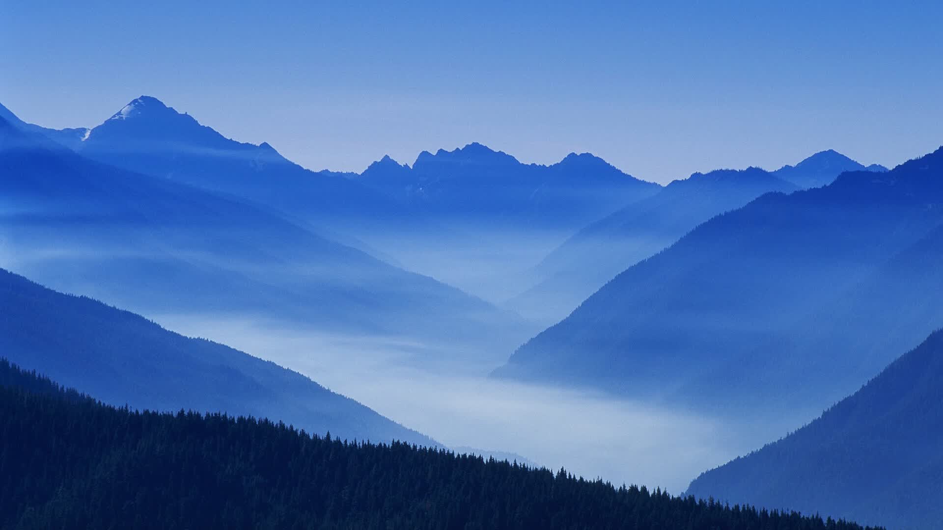 沙漠风暴，2026世界杯半决赛，阿联酋的史诗崛起与京多安的最后狂舞