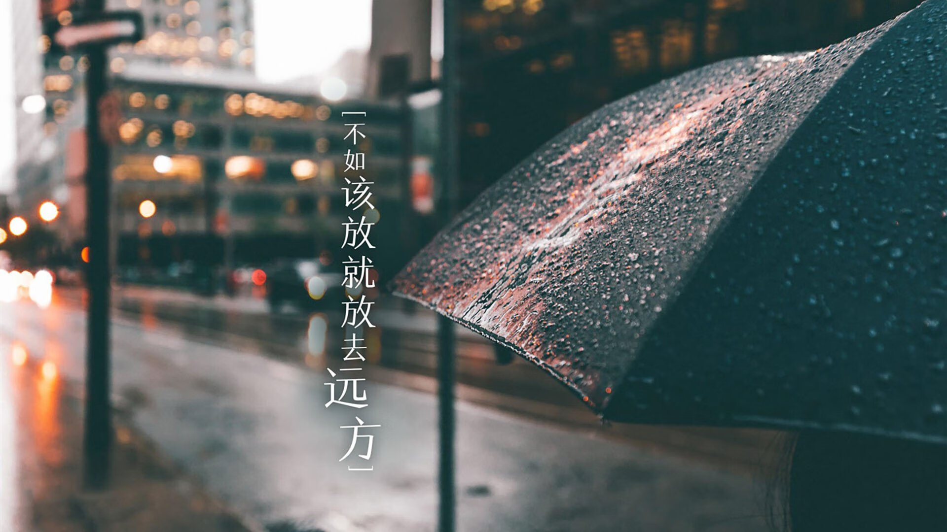 默契之刃，致命一击，厄瓜多尔如何在2026世界杯D组绝杀荷兰
